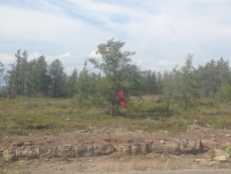 The Red Dress Project makes a powerful statement about missing and murdered aboriginal women